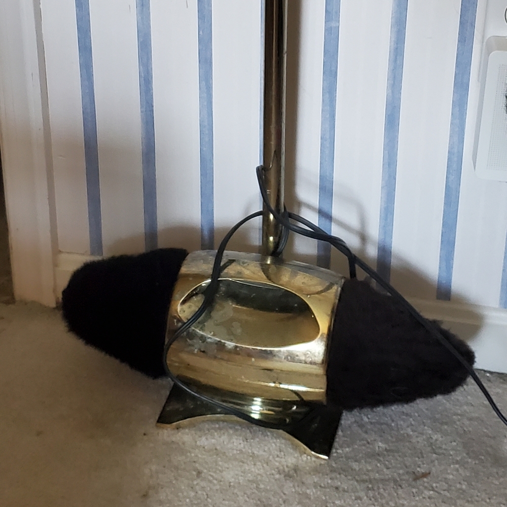 Electric shoe shiner